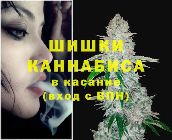 мдпв Новодвинск
