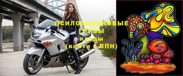 мдпв Новодвинск
