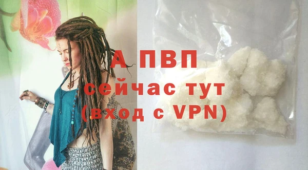 мдпв Новодвинск